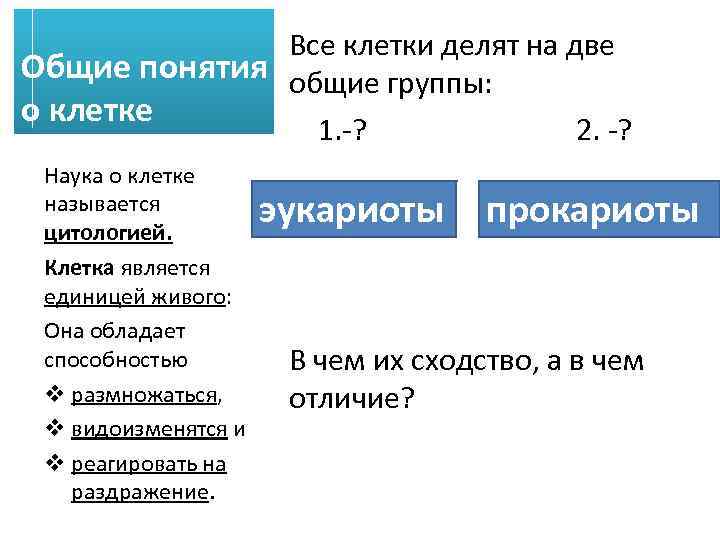 Все клетки делят на две Общие понятия общие группы: о клетке 1. -? 2.