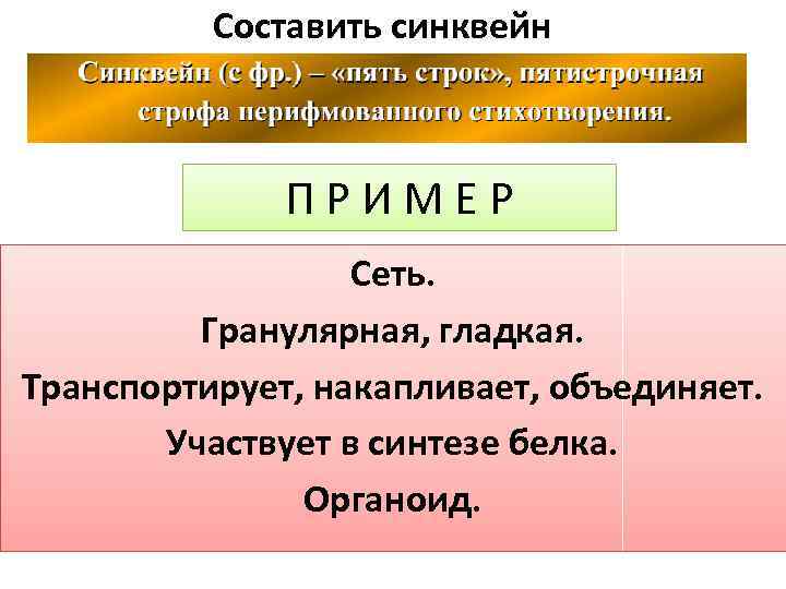 Составить синквейн ПРИМЕР Сеть. Гранулярная, гладкая. Транспортирует, накапливает, объединяет. Участвует в синтезе белка. Органоид.
