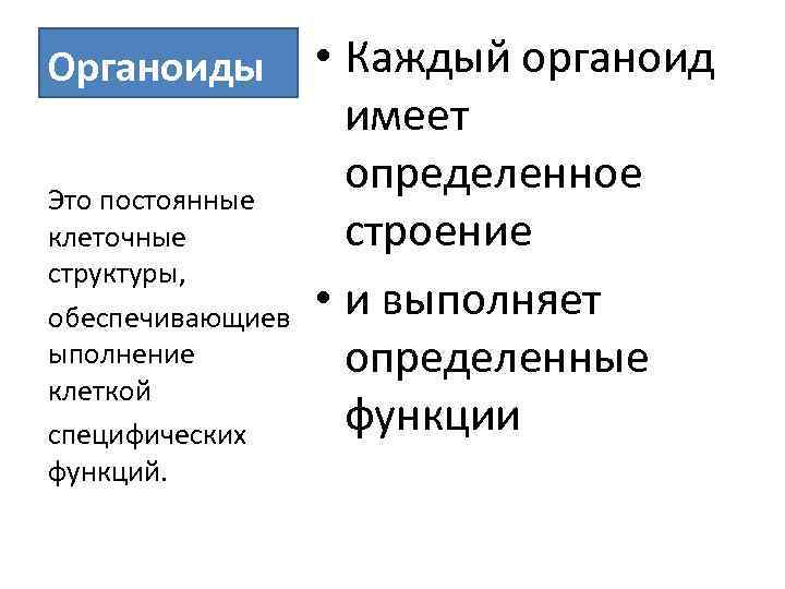Органоиды Это постоянные клеточные структуры, обеспечивающиев ыполнение клеткой специфических функций. • Каждый органоид имеет