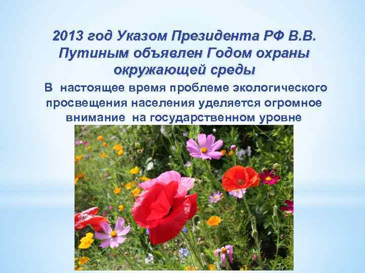 2013 год Указом Президента РФ В. В. Путиным объявлен Годом охраны окружающей среды В