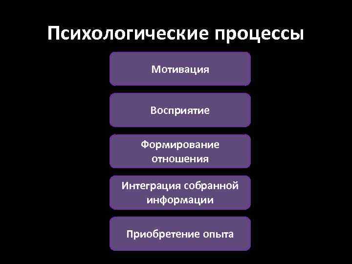 Психологические процессы Мотивация Восприятие Формирование отношения Интеграция собранной информации Приобретение опыта 