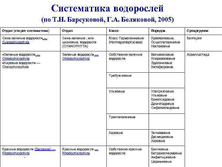 Группа отдела водорослей 7 класс