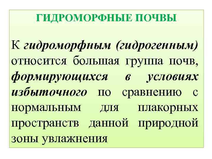 ГИДРОМОРФНЫЕ ПОЧВЫ К гидроморфным (гидрогенным) относится большая группа почв, формирующихся в условиях избыточного по