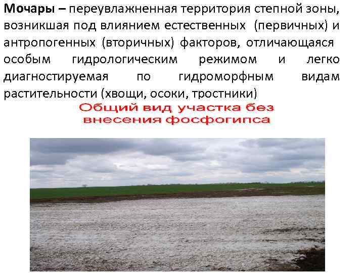 Мочары – переувлажненная территория степной зоны, возникшая под влиянием естественных (первичных) и антропогенных (вторичных)