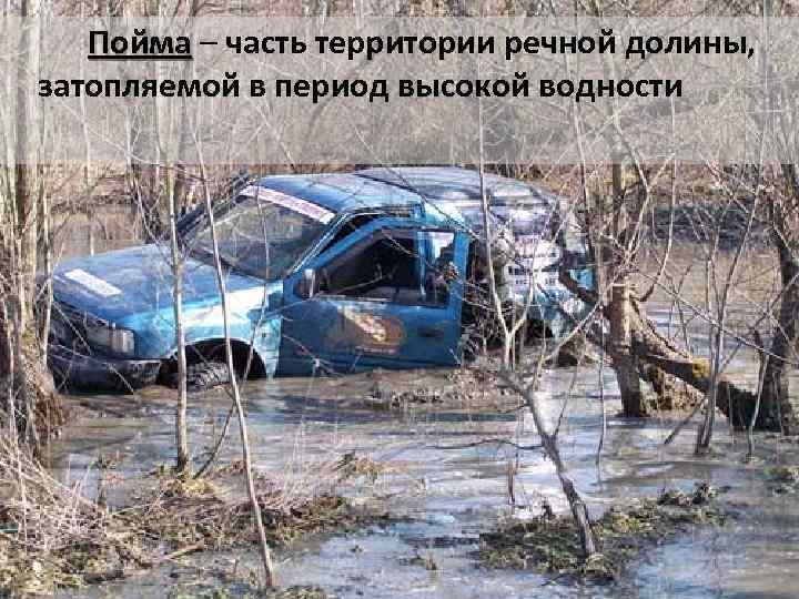 Пойма – часть территории речной долины, Пойма затопляемой в период высокой водности 