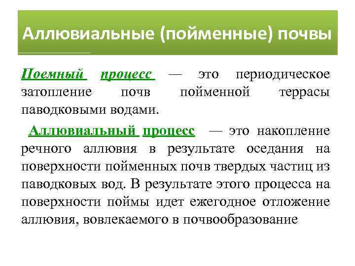 Аллювиальные (пойменные) почвы Поемный процесс — это периодическое затопление почв пойменной террасы паводковыми водами.