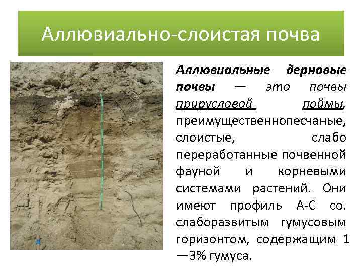 Аллювиальные почвы презентация