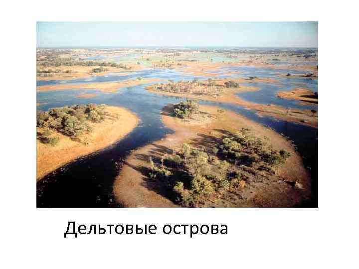 Дельтовые острова 