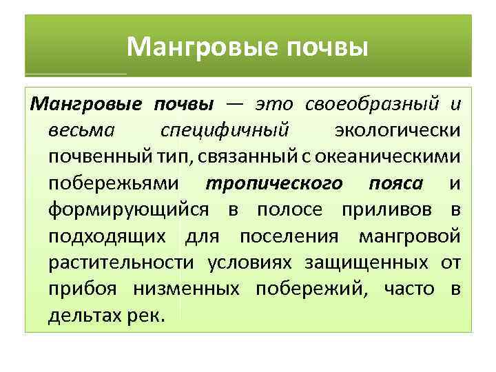 Мангровые почвы — это своеобразный и весьма специфичный экологически почвенный тип, связанный с океаническими