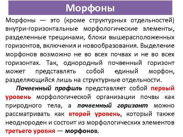 Морфоны — это (кроме структурных отдельностей) внутри-горизонтальные морфологические элементы, разделенные трещинами, блоки вышерасположенных горизонтов,