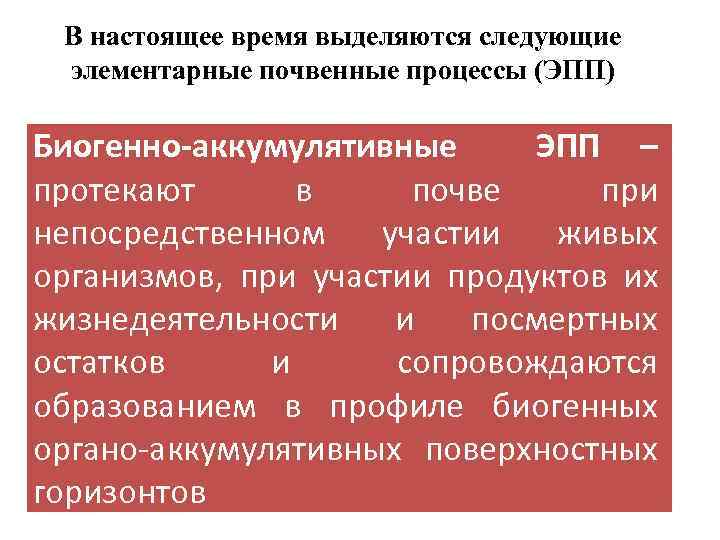 В настоящее время выделяются следующие элементарные почвенные процессы (ЭПП) Биогенно-аккумулятивные ЭПП – протекают в