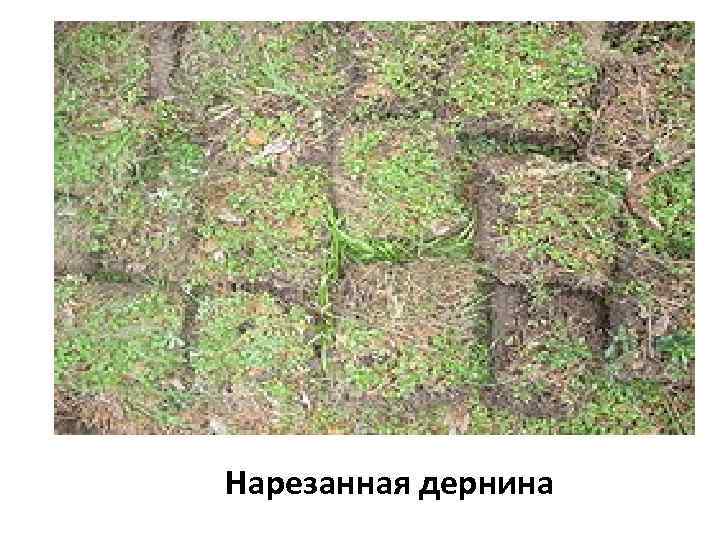 Нарезанная дернина 