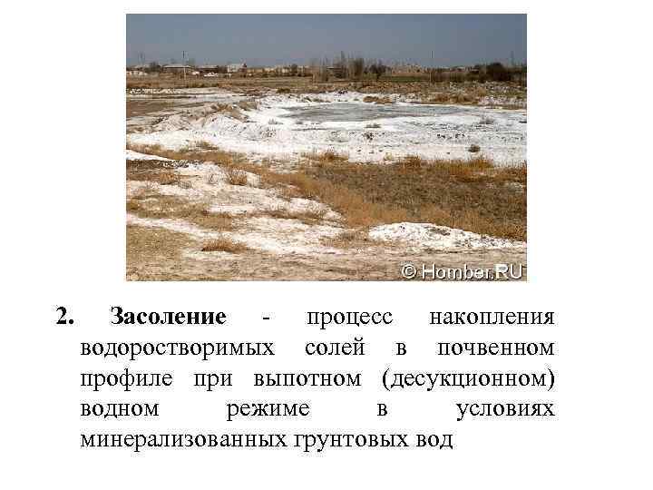 2. Засоление - процесс накопления водоростворимых солей в почвенном профиле при выпотном (десукционном) водном