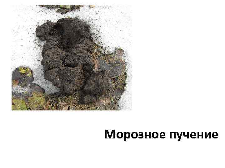 Морозное пучение 