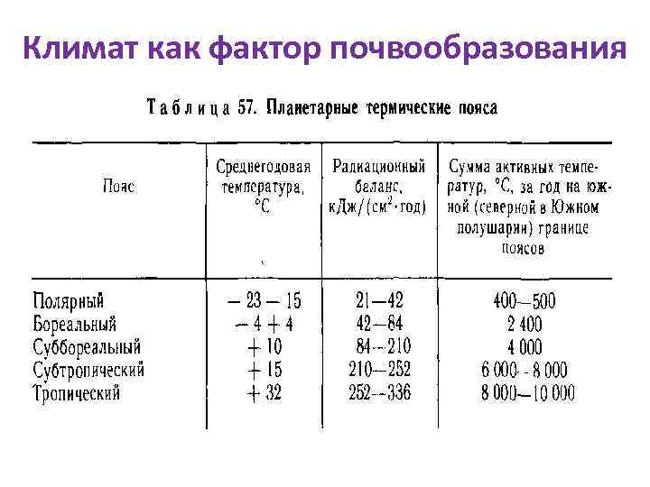 Климат как фактор почвообразования 