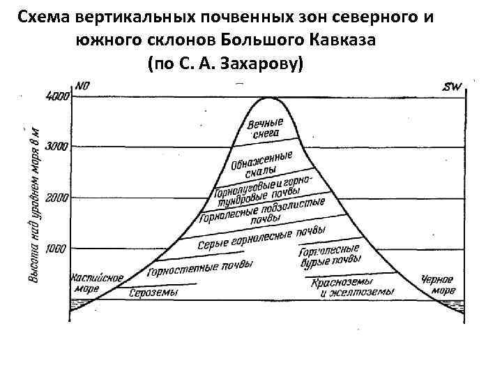 Схема вертикальных почвенных зон северного и южного склонов Большого Кавказа (по С. А. Захарову)