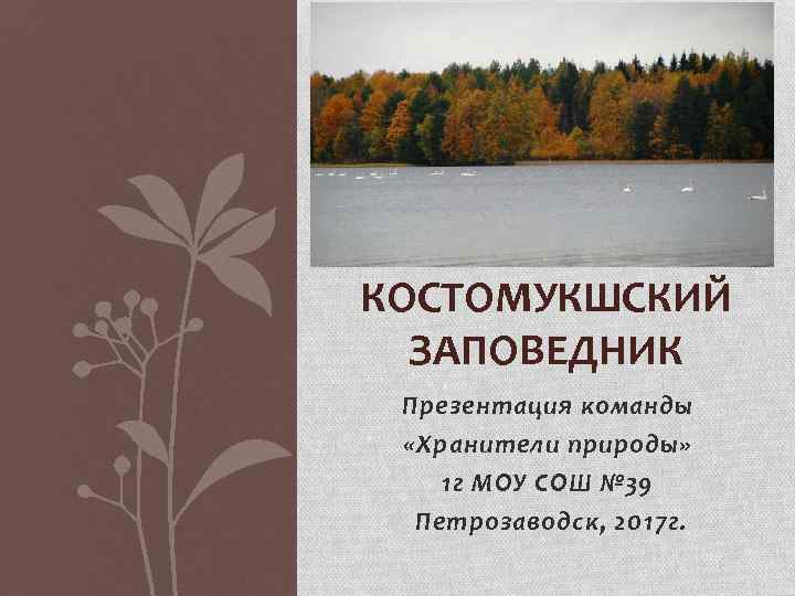 КОСТОМУКШСКИЙ ЗАПОВЕДНИК Презентация команды «Хранители природы» 1 г МОУ СОШ № 39 Петрозаводск, 2017