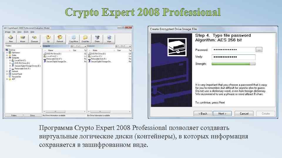 Программа Crypto Expert 2008 Professional позволяет создавать виртуальные логические диски (контейнеры), в которых информация