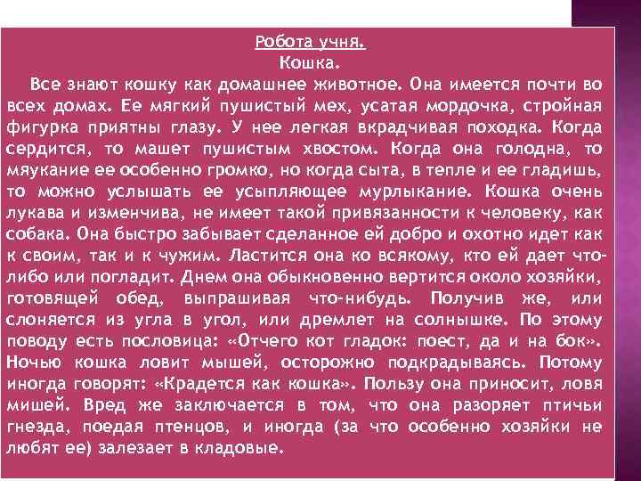 Робота учня. Кошка. Все знают кошку как домашнее животное. Она имеется почти во всех