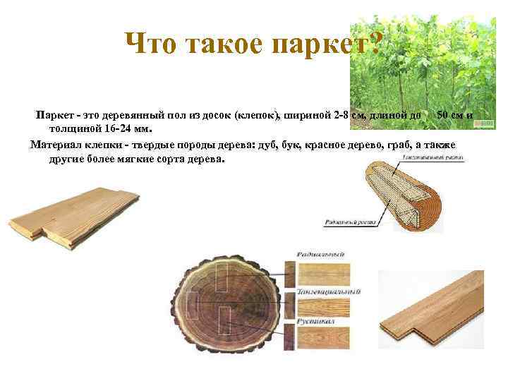 Что такое паркет? Паркет - это деревянный пол из досок (клепок), шириной 2 -8