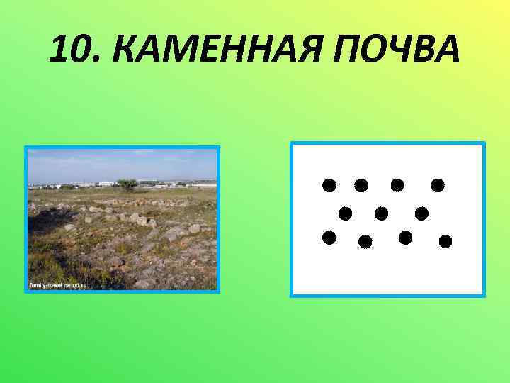 10. КАМЕННАЯ ПОЧВА м 