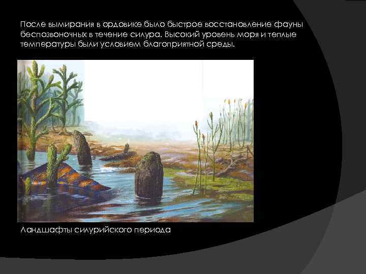 После вымирания в ордовике было быстрое восстановление фауны беспозвоночных в течение силура. Высокий уровень