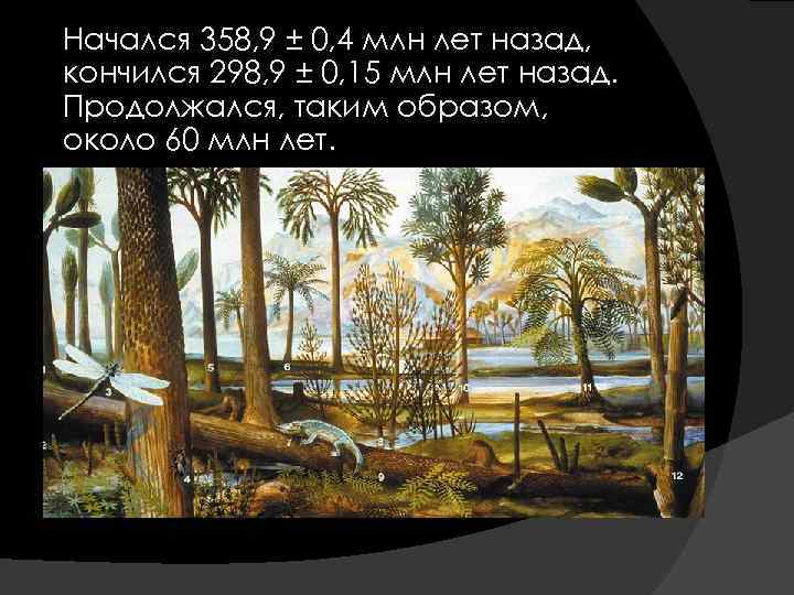  Начался 358, 9 ± 0, 4 млн лет назад, кончился 298, 9 ±