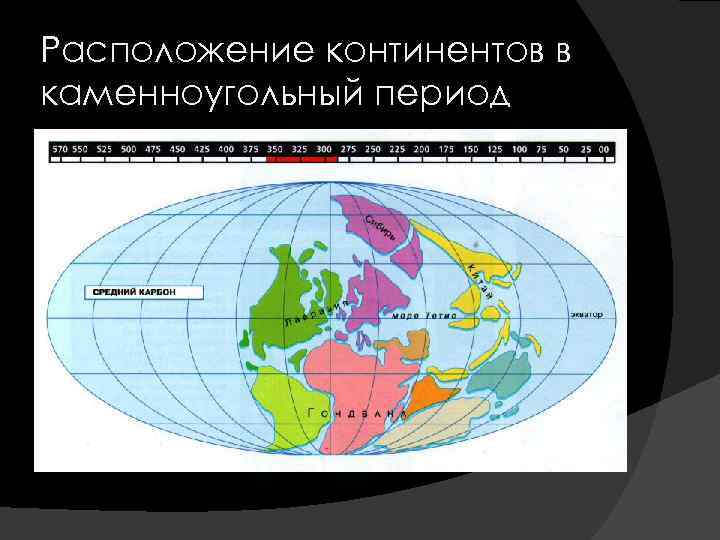 Расположение континентов в каменноугольный период 