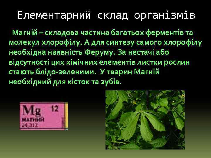 Елементарний склад організмів Магній – складова частина багатьох ферментів та молекул хлорофілу. А для