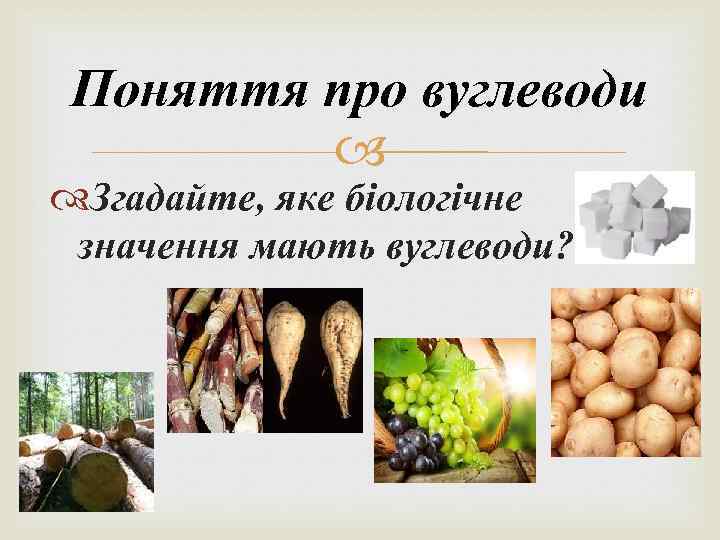 Поняття про вуглеводи Згадайте, яке біологічне значення мають вуглеводи? 