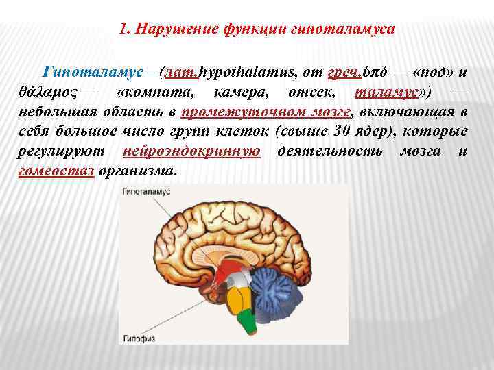 1. Нарушение функции гипоталамуса Гипоталамус – (лат. hypothalamus, от греч. ὑπό — «под» и