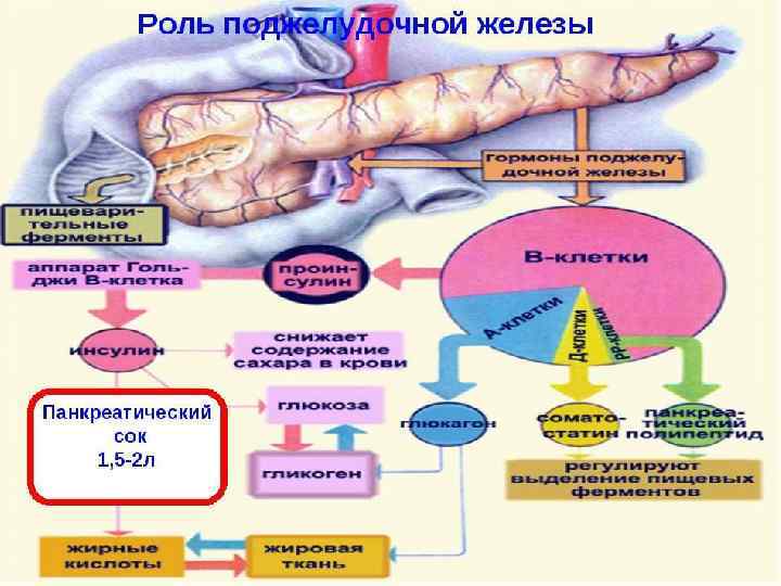 Нарушение гормонального фона после родов