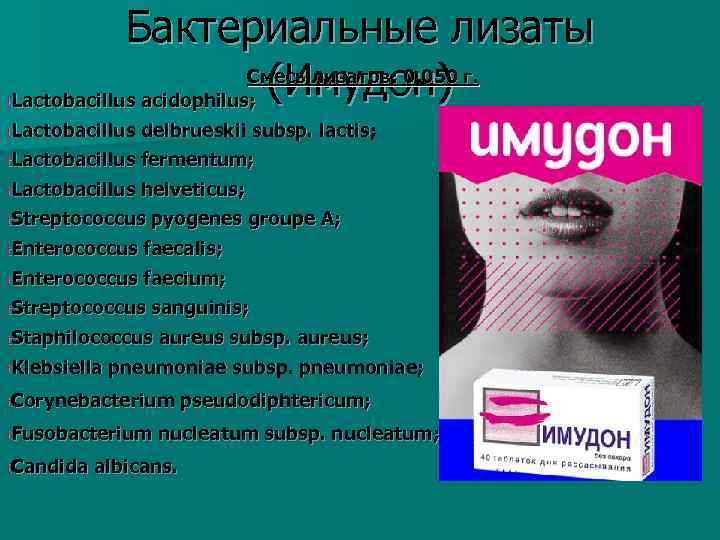 Бактериальные лизаты Смесь лизатов: 0, 050 г. (Имудон) Lactobacillus acidophilus; t t. Lactobacillus delbrueskii