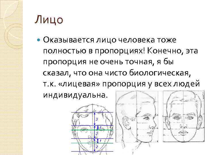 Лицо Оказывается лицо человека тоже полностью в пропорциях! Конечно, эта пропорция не очень точная,