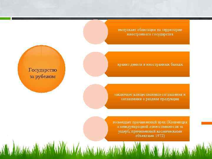 выпускает облигации на территории иностранного государства хранит деньги в иностранных банках Государство за рубежом