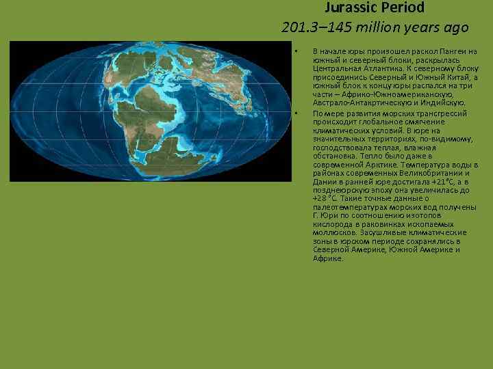 Jurassic Period 201. 3– 145 million years ago • • В начале юры произошел