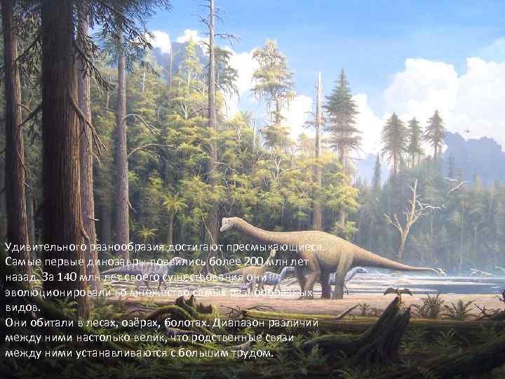 Удивительного разнообразия достигают пресмыкающиеся. Самые первые динозавры появились более 200 млн лет назад. За