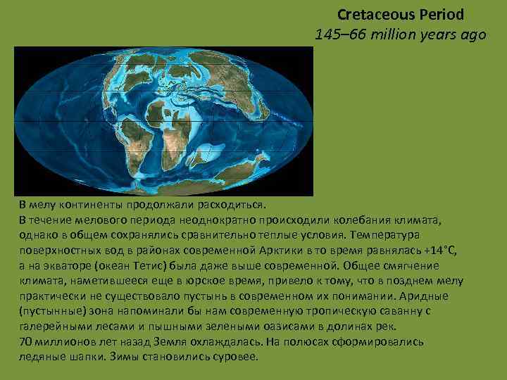 Cretaceous Period 145– 66 million years ago В мелу континенты продолжали расходиться. В течение