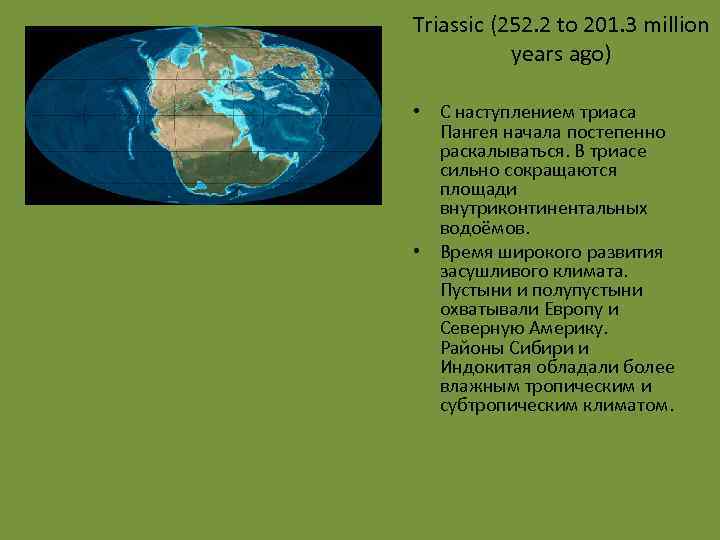 Triassic (252. 2 to 201. 3 million years ago) • С наступлением триаса Пангея