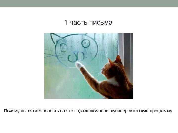 1 часть письма Почему вы хотите попасть на этот проэкт/компанию/университетскую программу 