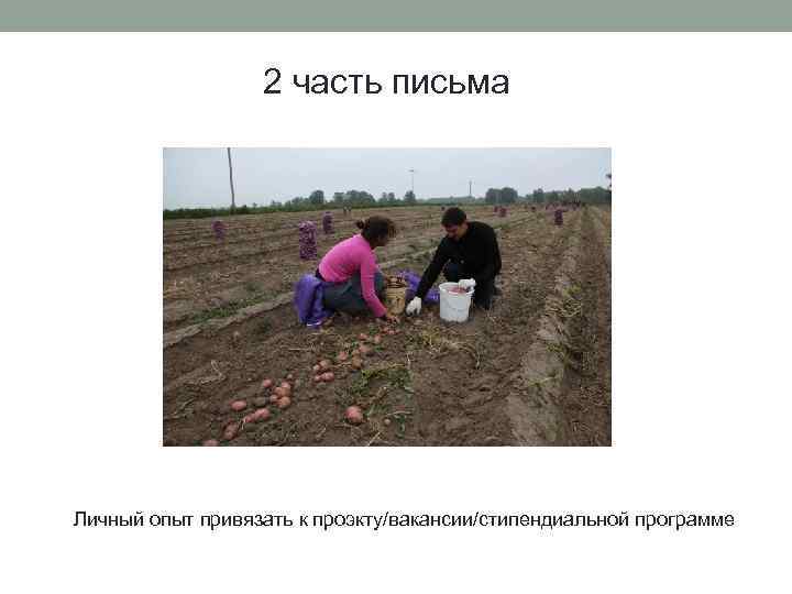2 часть письма Личный опыт привязать к проэкту/вакансии/стипендиальной программе 