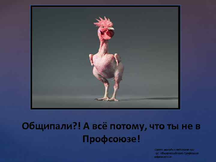 Общипали? ! А всё потому, что ты не в Профсоюзе! Совет молодых педагогов при