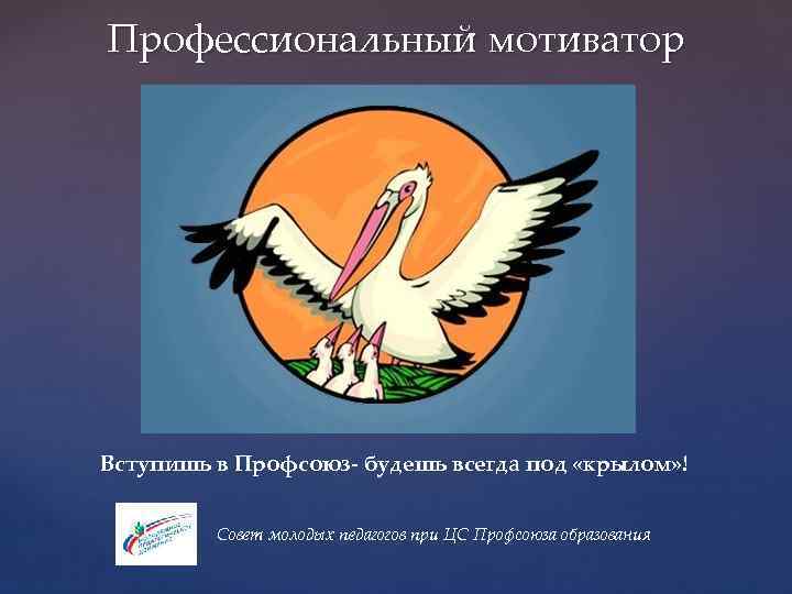 Профессиональный мотиватор Вступишь в Профсоюз- будешь всегда под «крылом» ! Совет молодых педагогов при