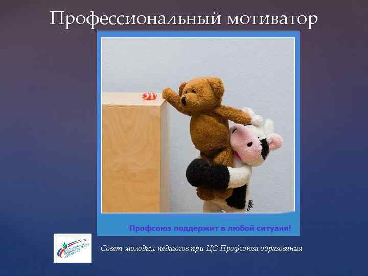 Профессиональный мотиватор Совет молодых педагогов при ЦС Профсоюза образования 