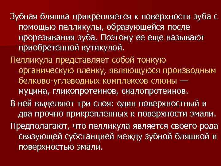 Зубная бляшка прикрепляется к поверхности зуба с помощью пелликулы, образующейся после прорезывания зуба. Поэтому