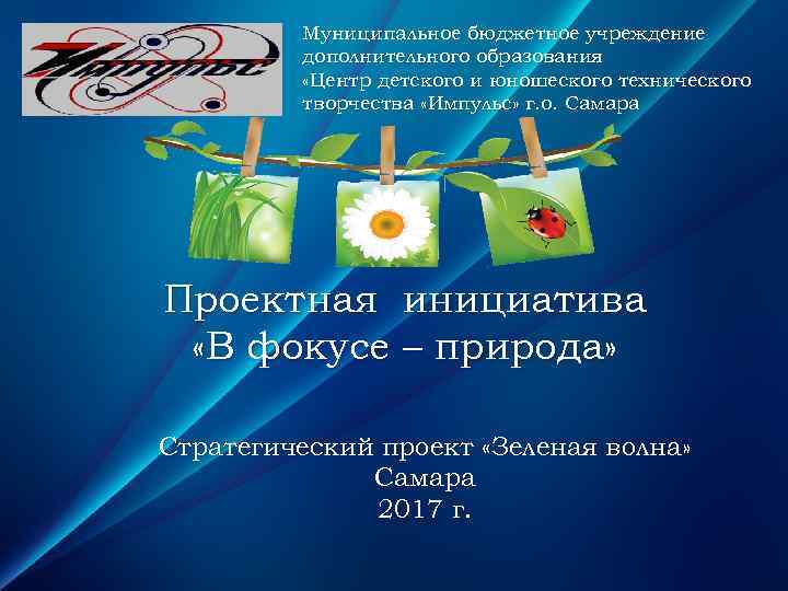 Муниципальное бюджетное учреждение дополнительного образования «Центр детского и юношеского технического творчества «Импульс» г. о.