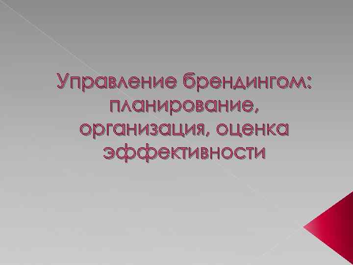 Управление брендингом: планирование, организация, оценка эффективности 
