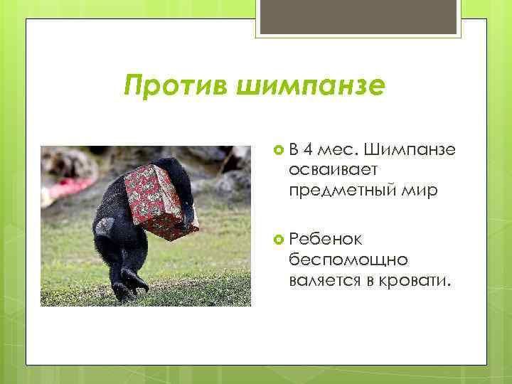 Против шимпанзе В 4 мес. Шимпанзе осваивает предметный мир Ребенок беспомощно валяется в кровати.