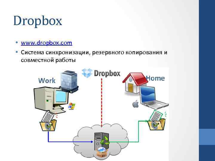 Dropbox • www. dropbox. com • Система синхронизации, резервного копирования и совместной работы 