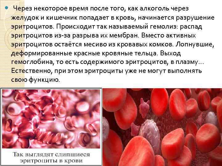  Через некоторое время после того, как алкоголь через желудок и кишечник попадает в